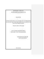 Đánh giá thực trạng và các giải pháp nâng cao trình độ đội ngũ giáo viên thực hành nghề cơ khí chế tạo tại trường cao đẳng công nghiệp việt   hung 
