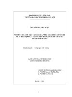 Nghiên cứu chế tạo vật liệu hấp phụ asen trên cơ sở gel silic kết hợp oxit sắt và oxit mangan để xử lý nước ngầm nhiễm asen 