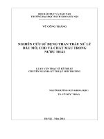 Nghiên cứu sử dụng than trấu xử lý dầu mỡ, COD và chất màu trong nước thải 