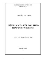 Hiệu lực của kết hôn theo pháp luật việt nam 