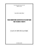 Trách nhiệm hình sự đối với các tội xâm phạm trật tự quản lý kinh tế 