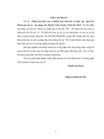 Phân loại khu vực ô nhiễm hoá chất bảo vệ thực vật dựa trên đánh giá rủi 