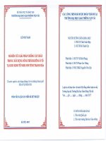 Nghiên cứu giải pháp chống cát chảy trong xây dựng công trình đường ô tô tại khu kinh tế Nghi Sơn tỉnh Thanh Hóa (tt)