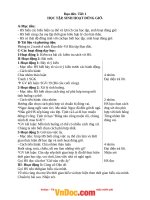 Giáo án Đạo đức lớp 2 trọn bộ