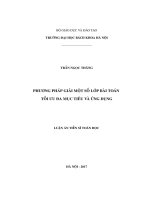 Phương pháp giải một số lớp bài toán tối ưu đa mục tiêu và ứng dụng (LA tiến sĩ)