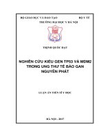 Nghiên cứu kiểu gen TP53 và MDM2 trong ung thư tế bào gan nguyên phát (FULL TEXT)