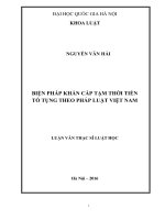 Biện pháp khẩn cấp tạm thời tiền tố tụng theo pháp luật việt nam 