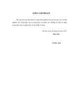 Phân tích đánh giá hiệu quả xử lý của một số dạng công trình xử lý nước thải chăn nuôi lợn hiện có và đề xuất lựa chọn, thiết kế hệ thống xử lý nước thải thích hợp cho các trang tr 