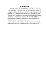 Bài tập lớn môn kết cấu ô tô