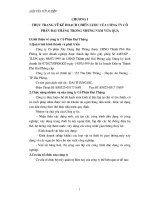 Thực trạng về kế hoạch chiến lược của công ty cổ phần Đại Thắng trong những năm vừa qua