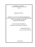 Nghiên cứu các yếu tố ảnh hưởng đến hiệu quả xử lý nước thải giàu chất hữu cơ trên mô hình thiết bị xử lý kỵ khí tốc độ cao EGSB (expanded granular sudge beg)  