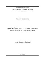Nghiên cứu lý thuyết về hiệu ứng hall trong các hệ bán dẫn một chiều 