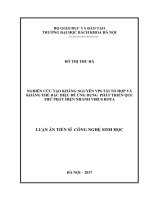 Nghiên cứu tạo kháng nguyên VP6 tái tổ hợp và kháng thể đặc hiệu để ứng dụng phát triển que thử phát hiện nhanh virus rota (LA tiến sĩ)