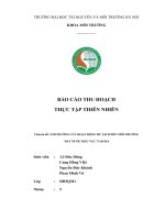 BÁO CÁO THU HOẠCH THỰC TẬP THIÊN NHIÊN: ẢNH HƯỞNG CỦA HOẠT ĐỘNG DU LỊCH ĐẾN MÔI TRƯỜNG  ĐẤT NƯỚC KHU VỰC TAM ĐẢ