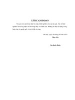 Thiết kế hệ thống xử lý nước thải sinh hoạt đô thị cho khu đô thị mới phía nam thành phố bắc giang  