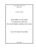 Hoàn thiện các quy định của pháp luật việt nam về cấp giấy phép lao động nước ngoài 