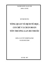 Tổng quan về dịch tễ học, cơ chế và chẩn đoán tổn thương gan do thuốc 