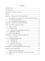 Nghiên cứu phương pháp xác định giá biên nút trong thị trường điện 