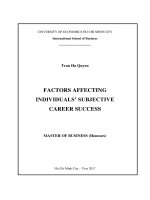 Factors affecting individuals’ subjective career success 