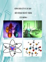 Bài thuyết trình phân nhóm IIIB