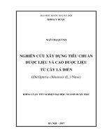 Nghiên cứu xây dựng tiêu chuẩn dược liệu và cao dược liệu từ cây lá diễn 