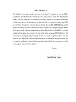 Nghiệm thu các công trình chiếu sáng đường phố sử dụng nguồn sáng LED 