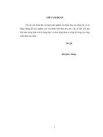 Đánh giá các giải pháp nâng cao chất lượng điện và giảm tổn thất điện năng trên lưới điện phân phối (áp dụng cho đường dây 370   trạm 110KV trình xuyên nam định)  
