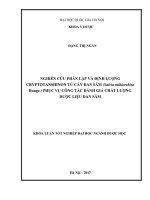 Nghiên cứu phân lập và định lƣợng cryptotanshinon từ cây đan sâm (salvia miltiorrhiza bunge ) phục vụ công tác đánh giá chất lƣợng dƣợc liệu đan sâm 
