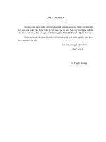 Nghiên cứu, thiết kế hệ thống nâng cao chất lượng tiếng nói sử dụng công nghệ FPGA 