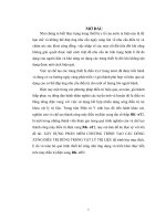 XÂY DỰNG PHẦN mềm CHƯƠNG TRÌNH tạo RA các DẠNG XUNG điều TRỊ TRONG vật lý TRỊ LIỆU