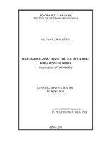 Sử dụng bộ quan sát trạng thái tốc độ cao điều khiển bền vững robot 