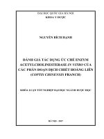 Đánh giá tác dụng ức chế enzym acetylcholinesterase in vitro của các phân đoạn dịch chiết hoàng liên (coptis chinensis franch) 