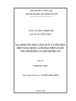 Xác định tổn thất công suất và tổn thất điện năng trong lưới phân phối cả xét tới ảnh hưởng của đồ thị phụ tải 