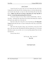 Nghiên cứu tính toán từ trường và dòng điện xoáy trong vùng dẫn có cấu trúc vỏ mỏng bằng phương pháp phần tử hữu hạn  