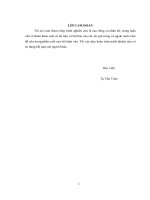 Phân tích hoạt động của hệ thống năng lượng mặt trời kết nối vào lưới phân phối khi có hiện tượng sụt áp  