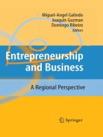 ENTREPRENEURSHIP entrepreneurship and business a regional perspectives