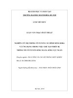 Nghiên cứu hệ thống vô tuyến cấu hình mềm (SDRs) và ứng dụng trong việc chế tạo thiết bị thông tin vô tuyến sóng ngắn, sóng cực ngắn  