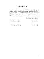 Nghiên cứu xác định các thông số công nghệ xử lý rong lục Việt Nam và lên men ethanol góp phần phát triển cồn nhiên liệu (LA tiến sĩ)