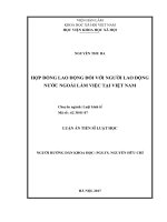 Hợp đồng lao động đối với người lao động nước ngoài làm việc tại Việt Nam (LA tiến sĩ)