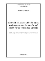 Bào chế và đánh giá tác dụng kháng khuẩn của thuốc mỡ thân nước bạc clorid 