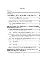 Đánh giá khả năng sử dụng năng lượng sinh khối để phát điện ở việt nam  