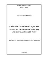 Khảo sát tình hình sử dụng y90 trong xạ trị chọn lọc điều trị ung thư gan nguyên phát 