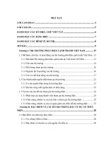 Phân tích, đánh giá rủi ro của các dự án nhà máy thủy điện trong thị trường phát điện cạnh tranh tại việt nam  