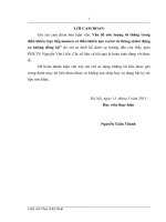 Vấn đề ước lượng từ thông trong điều khiển trực tiếp momen và điều khiển tựa vector từ thông stator động cơ không đồng bộ  