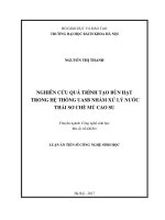 Nghiên cứu quá trình tạo bùn hạt trong hệ thống UASB nhằm xử lý nước thải sơ chế mủ cao su 