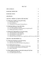 Nghiên cứu, thiết kế hệ thống giám sát phóng xạ trong môi trường  