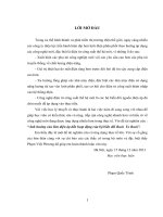 Ảnh hưởng của lõm điện áp đến hoạt động của bộ biến đổi back to back  