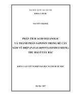 Phân tích acid oleanolic và thành phần saponin trong rễ cây sâm vũ diệp (panax bipinnatifidus seem ) thu hái ở tây bắc 
