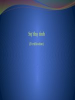 Sinh học Sự thụ tinh