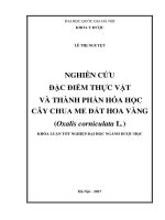 Nghiên cứu đặc điểm thực vật và thành phần hóa học cây chua me đất hoa vàng (oxalis corniculata l ) 